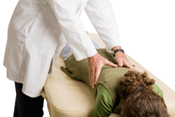 Which Chiropractic Styles Optimize Patient Satisfaction?